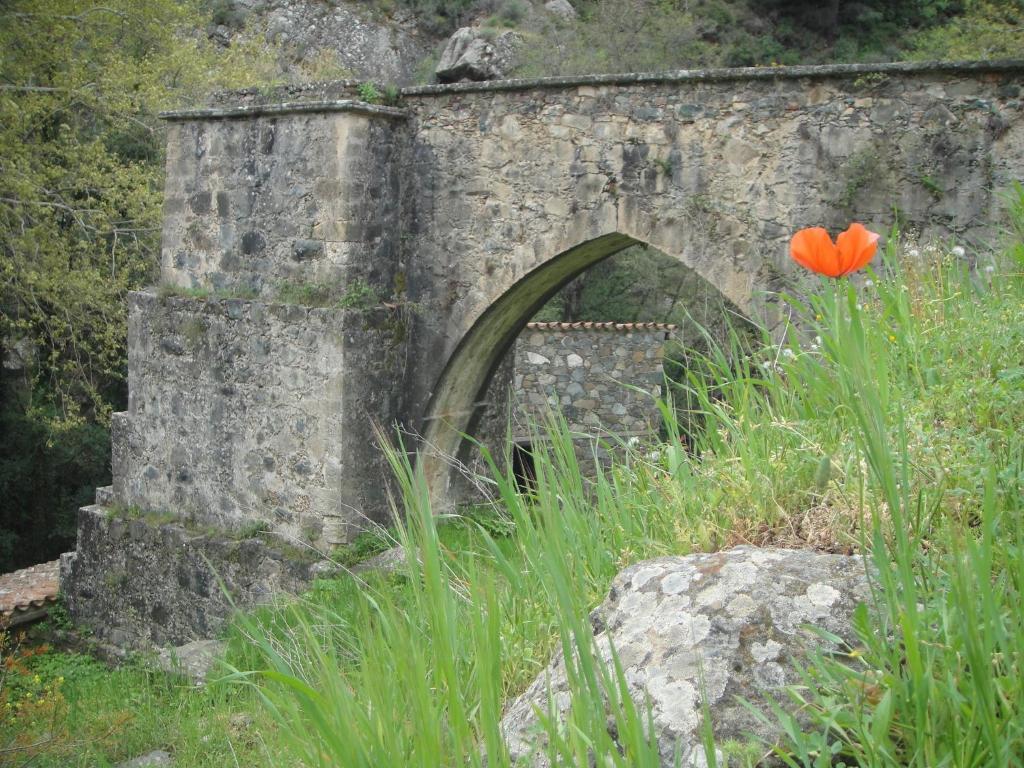 Penzion Archontiko I Misirlou Kalopanagiotis Exteriér fotografie